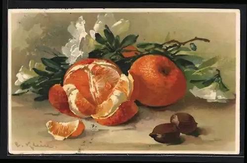 Künstler-AK Catharina Klein: Stilleben mit Orangen