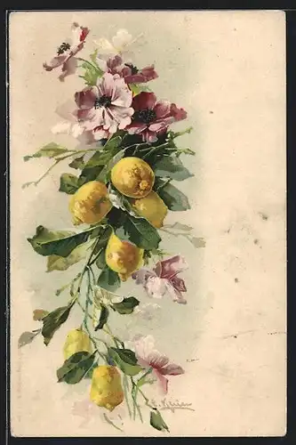 Künstler-AK Catharina Klein: rosa Blüten und gelbe Früchte an einem Ast