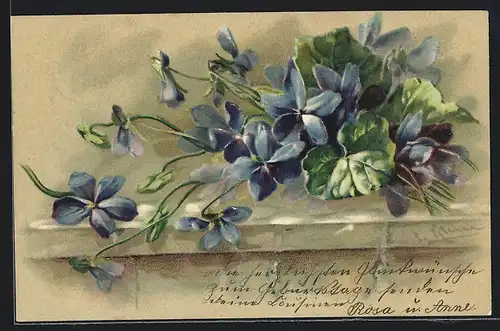 Künstler-AK Catharina Klein: Strauss Veilchen auf einer Mauer