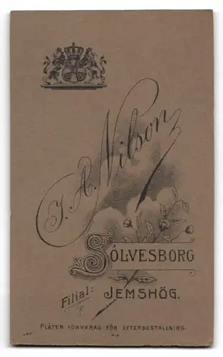 Fotografie I. A. Nilson, Sölvesborg, Eleganter junger Herr mit Krawatte u. Stehkragen