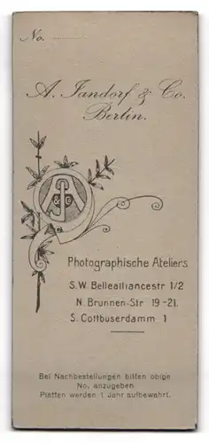 Fotografie A. Jandorf & Co., Berlin, Bellealliancestr. 1-2, Junge Dame in modischer Kleidung