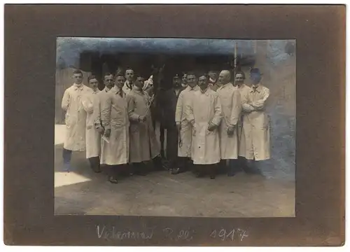 2 Fotografien unbekannter Fotograf und Ort, Tierärzte / Veterinäre mit Esel und Pferd samt Veterinär Rolli, 1917