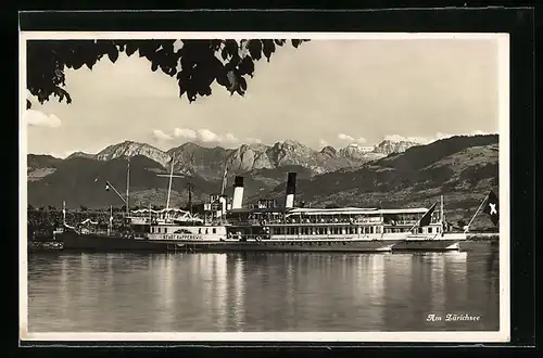 AK Raddampfer Stadt Rapperswil auf dem Zürichsee