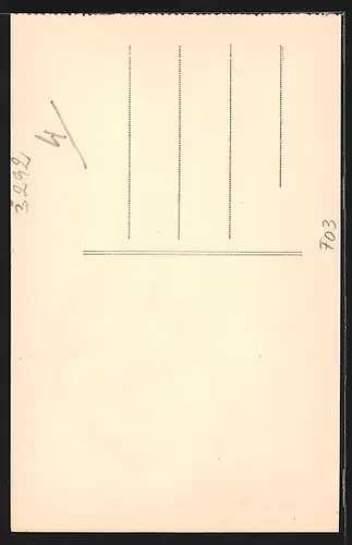 AK Tronget, Sanatorium F. Mercier, Buste Francois Mercier