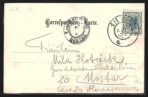 Lithographie Wien, Darstellung der Universität