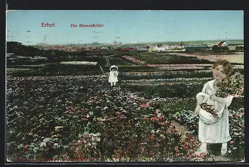 AK Erfurt, Die Blumenfelder mit zwei Mädchen