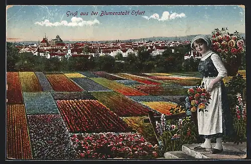 AK Erfurt, Ortsansicht mit Blumenfeldern