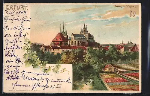 Lithographie Erfurt, Westansicht des Doms