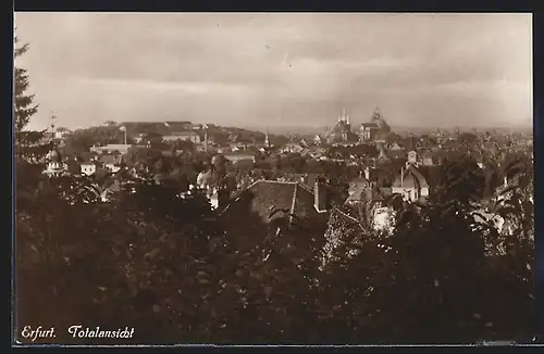 AK Erfurt, Panorama mit Bäumen