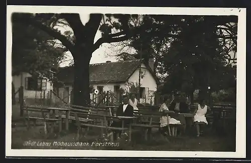 AK Wien, Gasthaus Städt. Lobau Milchausschank / Forsthaus, Gartenansicht mit Gästen