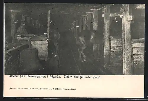 AK Höganäs, Interiör fran Stenkolsgrufvan, Stallen under jorden, Kohlebergbau
