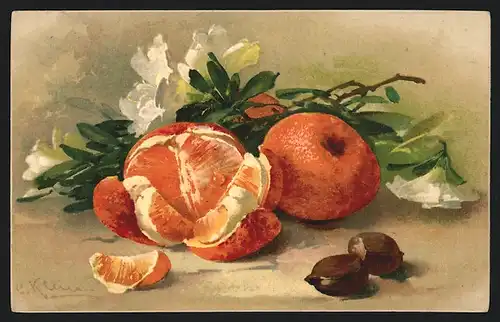 Künstler-AK Catharina Klein: Stilleben mit Orangen