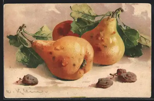 Künstler-AK Catharina Klein: Stillleben mit reifen Birnen