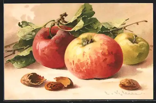 Künstler-AK Catharina Klein: Stillleben mit Äpfeln und Nüssen