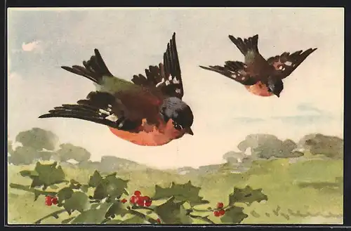 Künstler-AK Catharina Klein: Zwei fliegende Vögel