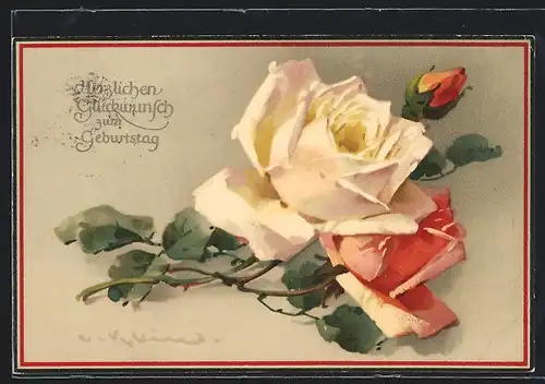Künstler-AK Catharina Klein: Weisse und orangefarbene Rosen, Geburtstagsgruss