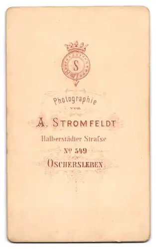 Fotografie A. Stromfeldt, Oschersleben, Halberstädter Strasse 549, Bürgerlicher Mann mit Fliege und Schnurrbart