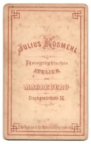 Fotografie Julius Kosmehl, Magdeburg, Stephansbrücke 36, Bürgerliche Dame mit Rosenbrosche am Kragen