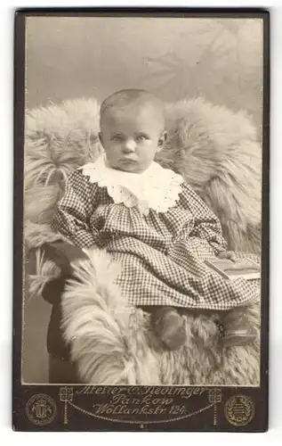 Fotografie Atelier Redlinger, Pankow, Wollankstr. 124, Baby im Kleid mit Rüschenkragen auf einem Pelz