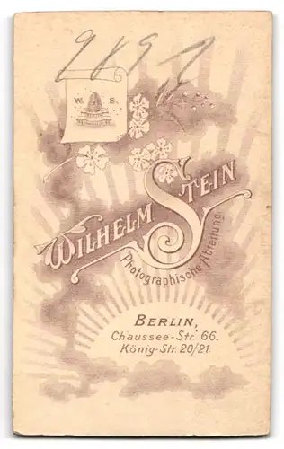 Fotografie Wilhelm Stein, Berlin, Chausseestr. 66, Bürgerliche Dame mit intensiv gemustertem, adrettem Kleid