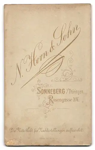 Fotografie N. Horn & Sohn, Sonneberg i. Th., Rosengasse 107, Junge Dame mit Brosche am Kragen und mehreren Ketten