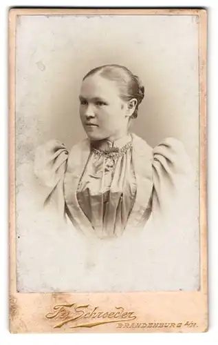 Fotografie Fr. Schroeder, Brandenburg a. H., Ritterstr. 18, Junge Dame mit elegantem kleid und adretter Frisur