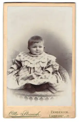 Fotografie Otto Strauch, Zehdenick, Berlinerstr. 22, Kleines Mädchen im karierten Kleid mit mehrlagigem Kragen