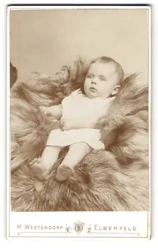 Fotografie Westendorp, Elberfeld, Herzogstrasse 40, Kleines Baby mit gespanntem Blick auf einem Pelz