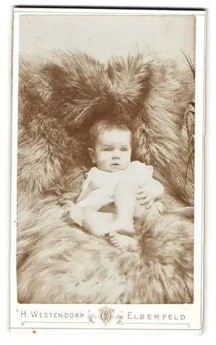 Fotografie H. Westendorp, Elberfeld, Herzogstrasse 40, Baby im weissen Oberteil geniesst den Komfort des Pelzes