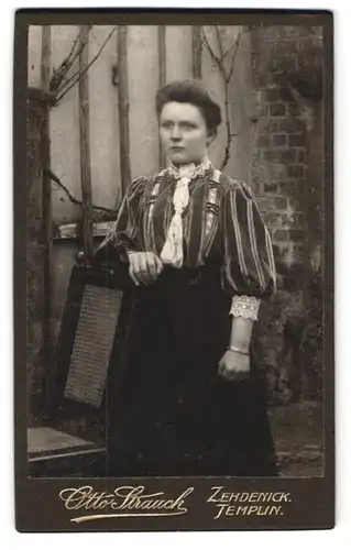 Fotografie Otto Strauch, Zehdenick, Am Markt 11, Bürgerliche Dame in Bluse und Rock