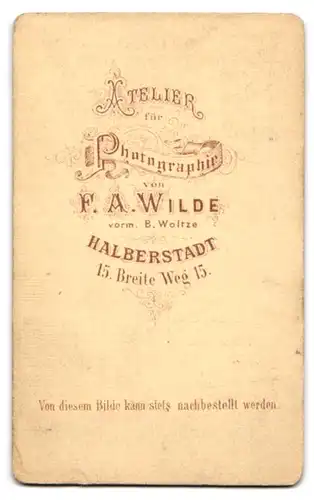 Fotografie F. A. Wilde, Halberstadt, Breite Weg 15, Bürgerlicher Herr mit Vollbart