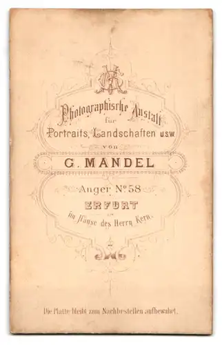Fotografie G. Mandel, Erfurt, Anger 58, Eleganter Herr mit Schnauzbart
