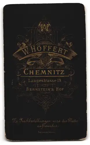 Fotografie W. Höffert, Chemnitz, Langestr. 18, Junger Herr im Anzug mit Krawatte