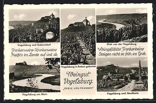 AK Nordheim, Weingut Vogelsburg, Blick von der Burg, Weinberge