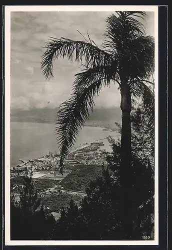 AK Palermo, Ortsansicht mit Hafen und Dampfer