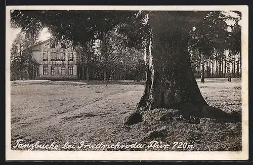 AK Friedrichroda i. Thür., Gasthaus zur Tanzbuche von der Strasse betrachtet