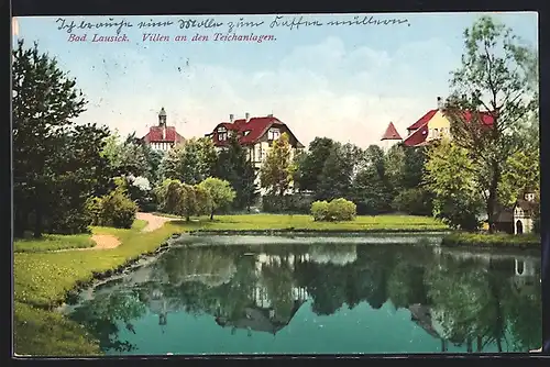 AK Bad Lausick, Villen mit Teichanlagen