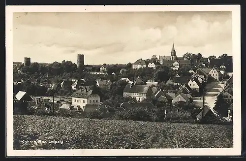 AK Kohren, Blick von der Bergwiese