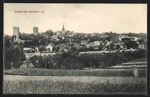 AK Kohren, Totale von der Wiese aus