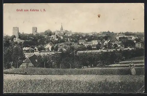 AK Kohren, Totale von der Wiese aus
