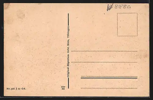 AK Dillingen a. D., Brücke mit Ortspanorama