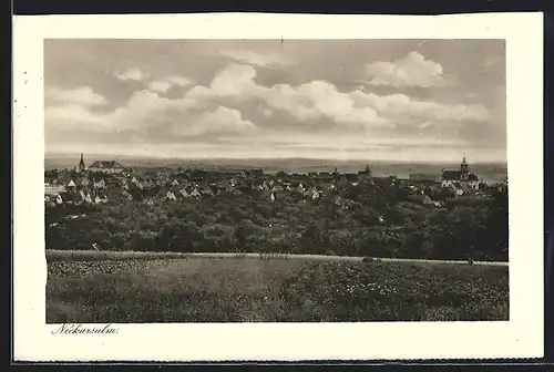 AK Neckarsulm, Totalansicht aus der Ferne