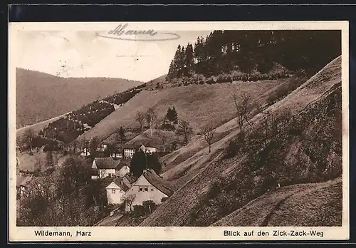 AK Wildemann /Harz, Blick auf den Zick-Zack-Weg