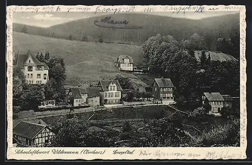 AK Wildemann /Harz, Spiegelthal, Ortspartie