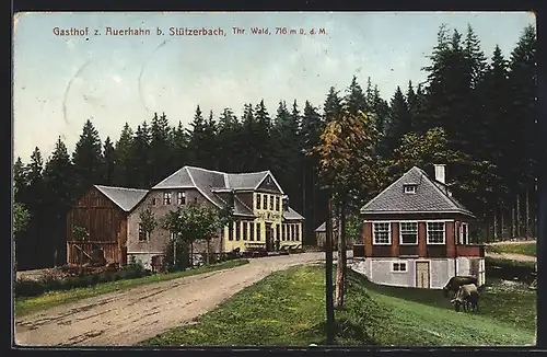 AK Stützerbach, Gasthaus zum Auerhahn