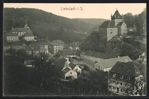 AK Liebstadt i. S., Ortsansicht mit Schloss