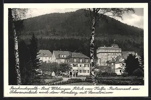 AK Bad Wildungen, Homberg mit Sanatorium, Blick vom Kaffee-Restaurant am Schwanenteich