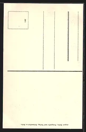 AK Ochsenfurt a. M., Wallgraben mit Klingerturm und Taubenturm