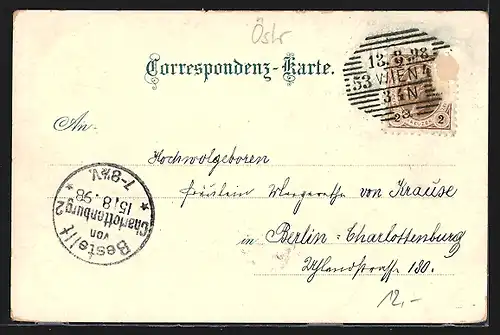 Lithographie Wien, Stephans Dom, Graben