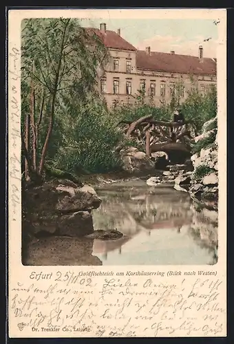 AK Erfurt, Goldfischteich am Karthäuserring, Blick nach Westen